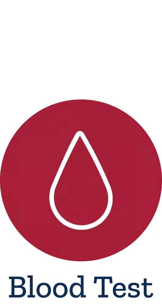 Hair Loss Panel (Comprehensive) Blood Test, Blood Test