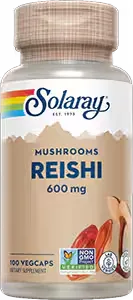 Reishi Mushroom, 600 mg, 100 vegetarian capsules