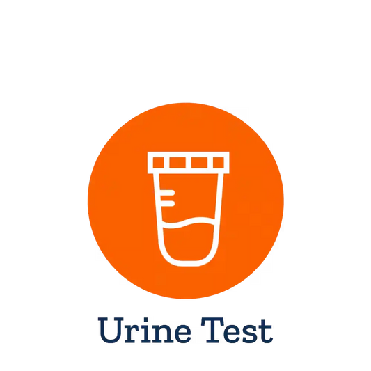 Catecholamines (Fractionated) 24-hour Urine Test