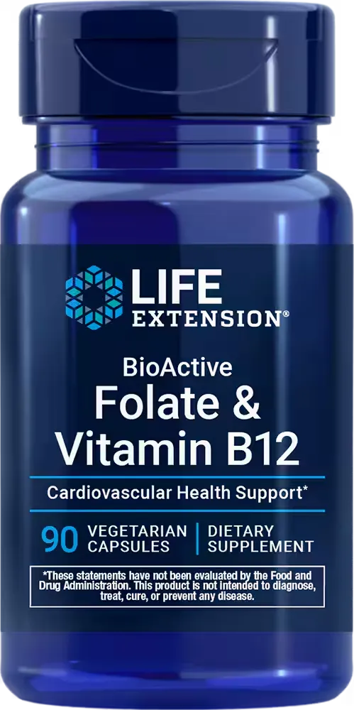 BioActive Folate &amp; Vitamin B12, 90 vegetarian capsules