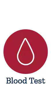 CBC/Chemistry/Lipids Panel Blood Test