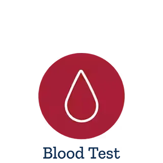 CBC/Chemistry/Lipids Panel Blood Test